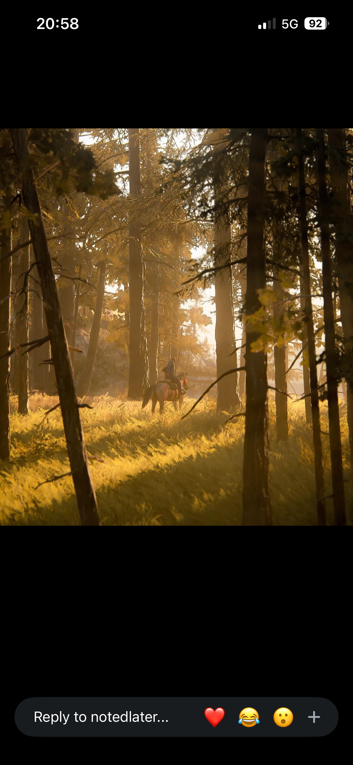 Through The Trees